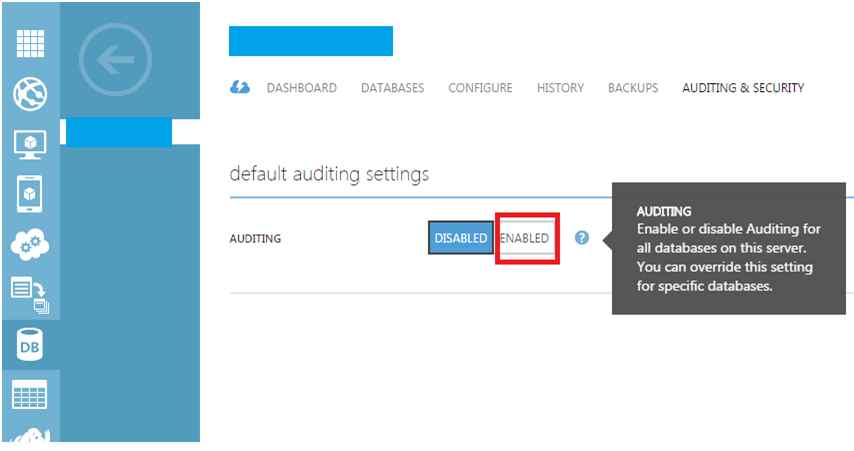 enable the default auditing settings